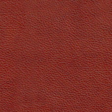 Labrador 33 Lux