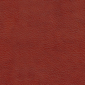 Labrador 33 Lux