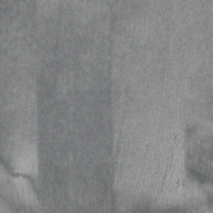 Береза Grey