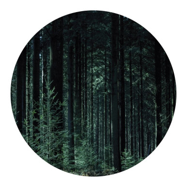 Интерьерный постер DEEP GREEN