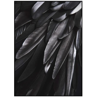 Интерьерный постер BLACK WING