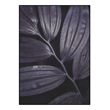 Интерьерный постер DARK PLANT 3