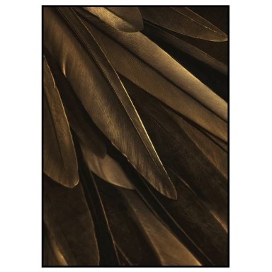 Интерьерный постер GOLD WING